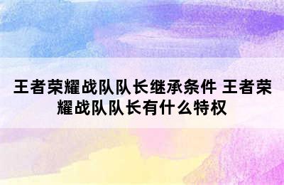 王者荣耀战队队长继承条件 王者荣耀战队队长有什么特权